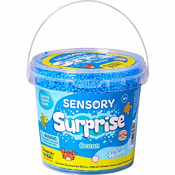 Sensory Surprise Ocean