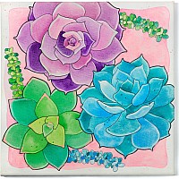 Watercolor Paint by Number Succulents