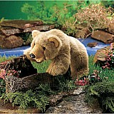 Bear, Grizzly Cub
