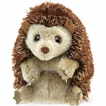 Hedgehog