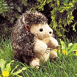 Hedgehog