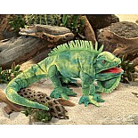 Iguana