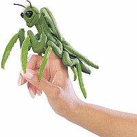 Mini Praying Mantis