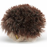 Mini Hedgehog