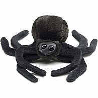 Mini Spider