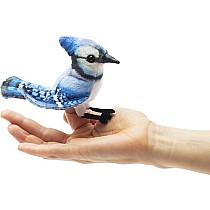 Mini Blue Jay