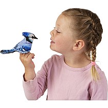 Mini Blue Jay