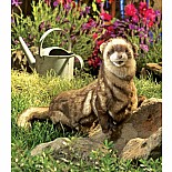 Ferret Hand Puppet