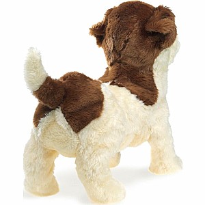 Terrier, Jack Russell Hand Puppet