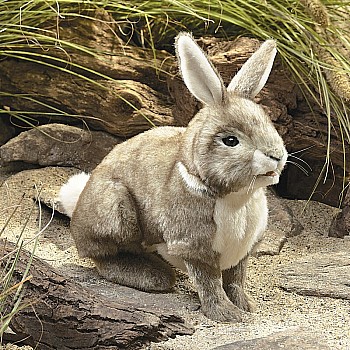 Cottontail Rabbit Puppet