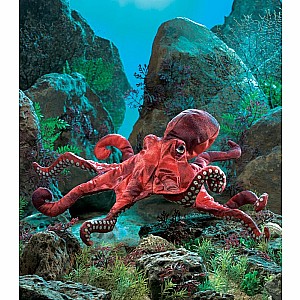 Octopus, Red Hand Puppet