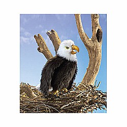 Perched Eagle