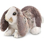 Rabbit, Baby Lop