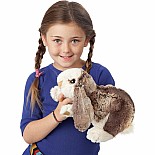 Rabbit, Baby Lop