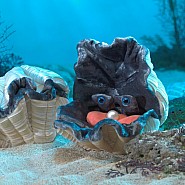 Giant Clam Hand Puppet