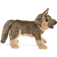 German Shepherd Puppy