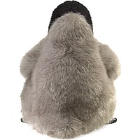 Baby Emperor Penguin