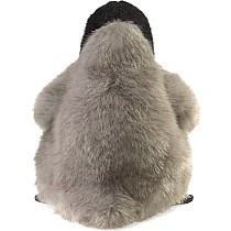 Baby Emperor Penguin