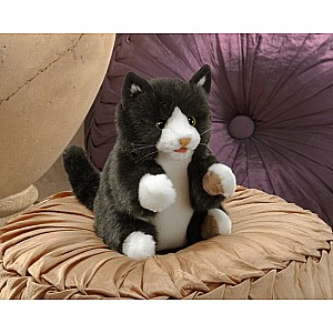 Tuxedo Kitten Hand Puppet