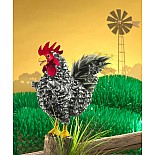 Barred Rock Rooster Hand Puppet