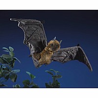 Fruit Bat