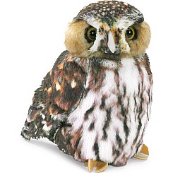 Pygmy Owl Puppet