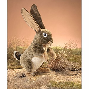 Jack Rabbit Puppet