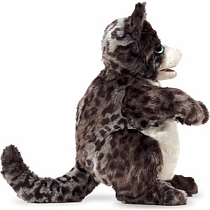 Wildcat Kitten Hand Puppet