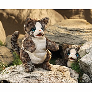 Wildcat Kitten Hand Puppet