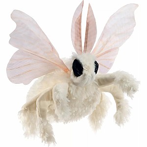 Poodle Moth