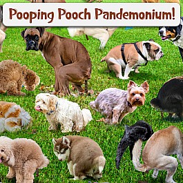 101 Pooping Puppies Puzzle