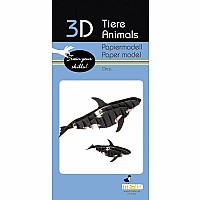 3-D Orca Whale Paper Model