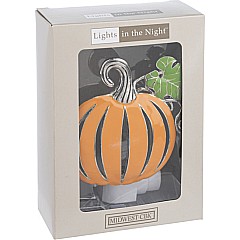 Pumpkin Nightlight
