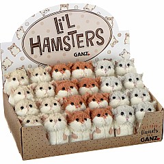 Li'l Hamsters white  (assorted)