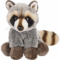 The Heritage Collection Raccoon