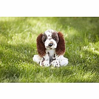 The Heritage Collection Springer Spaniel