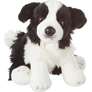 Heritage Border Collie