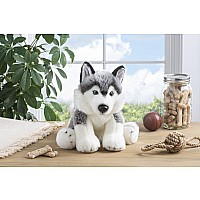 Heritage Siberian Husky