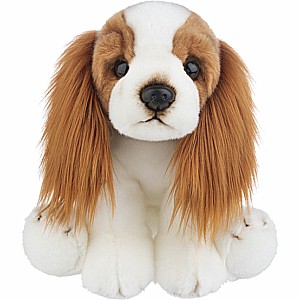 Heritage Cavalier King Charles