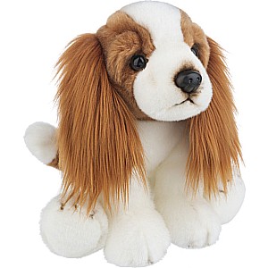 Heritage Cavalier King Charles
