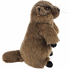 Heritage Groundhog