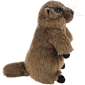 Heritage Groundhog
