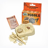 Fossils Mini Dig Kits