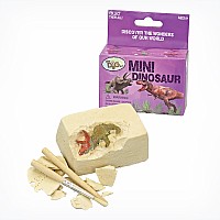 Mini Dinosaur Dig Kits