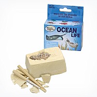 Ocean Life Mini Excavation Kits