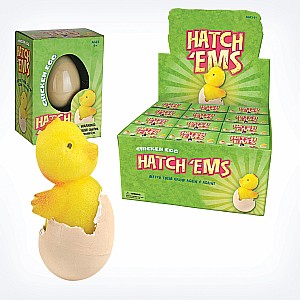 Hatch'ems Chicken Eggs