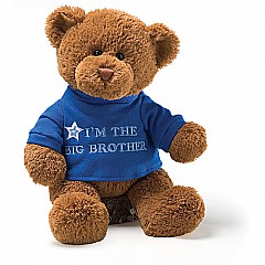 GUND I'm The Big Brother T-Shirt Teddy Bear 12"