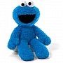 Cookie Monster Take-Along Buddy 13"