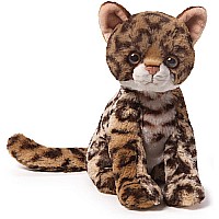 Tiger Cat 8.5"