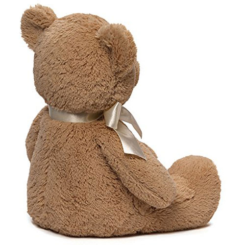 Gund My First Teddy Bear Baby Stuffed Animal 10 inches 